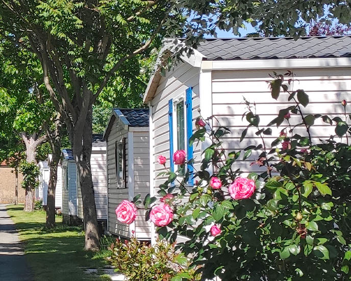 Camping-La-Borderie-St-Palais-sur-Mer-services