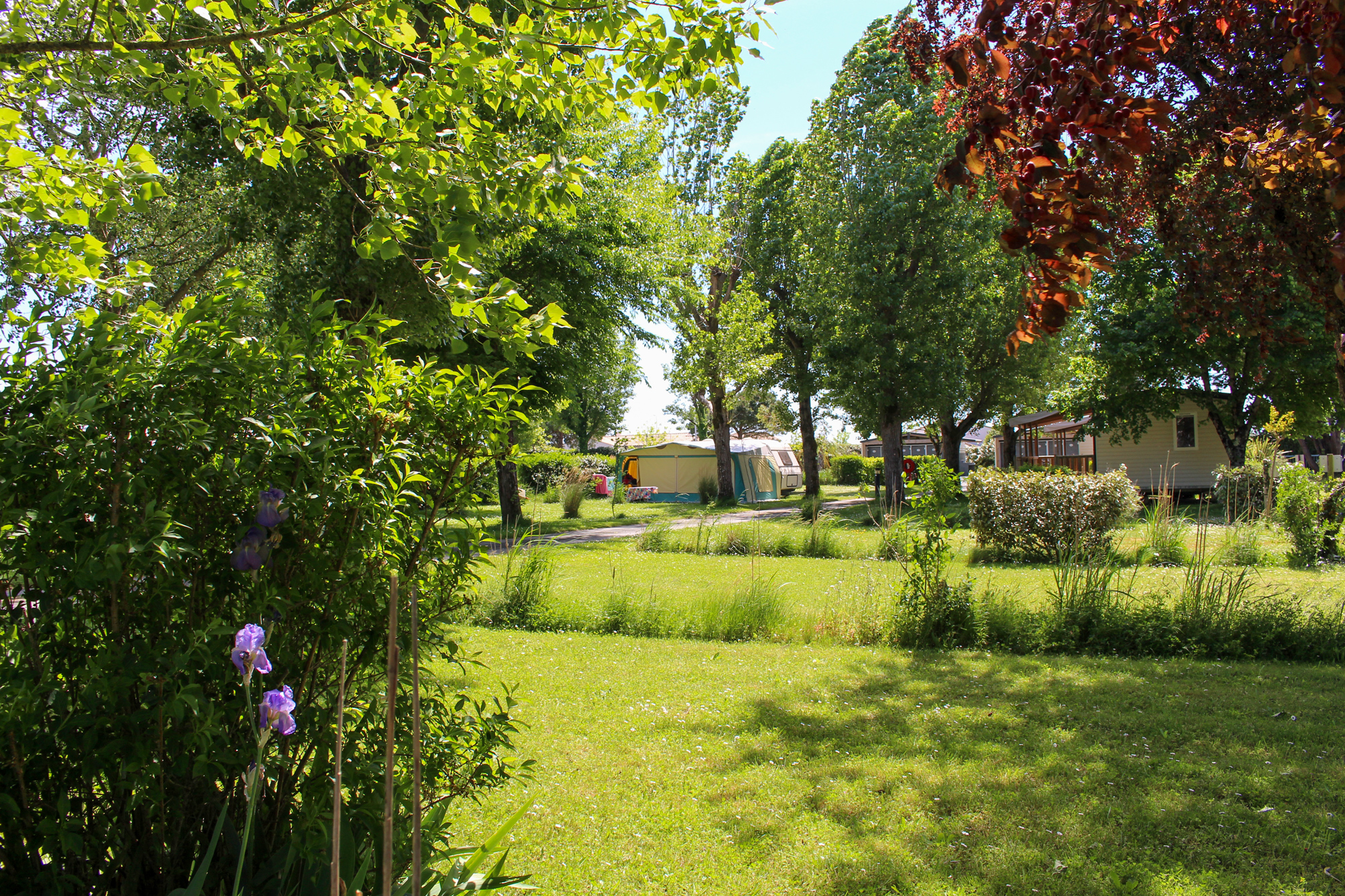 emplacement vue ensemble